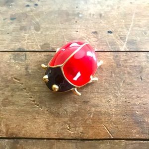 Vintage beetle pin Donald Stanner